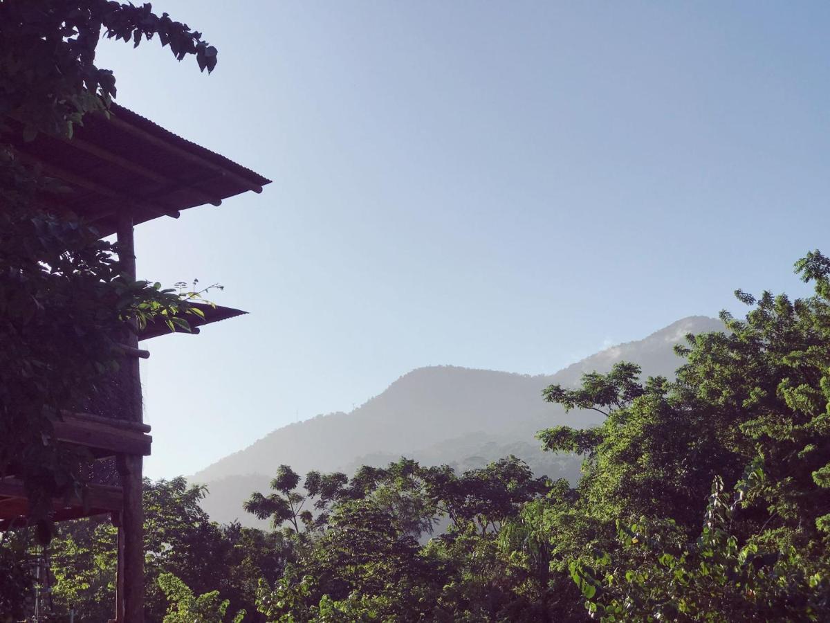 The Valley Tayrona Hostel- A Social Jungle Hostel 엘 자이노 외부 사진