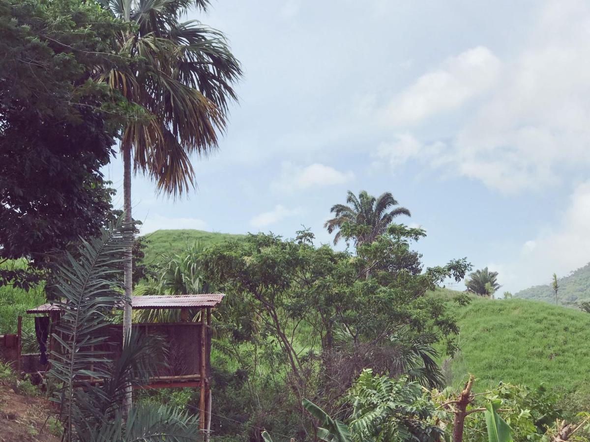 The Valley Tayrona Hostel- A Social Jungle Hostel 엘 자이노 외부 사진