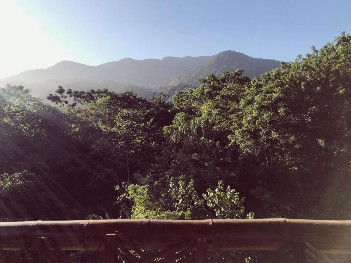 The Valley Tayrona Hostel- A Social Jungle Hostel 엘 자이노 외부 사진