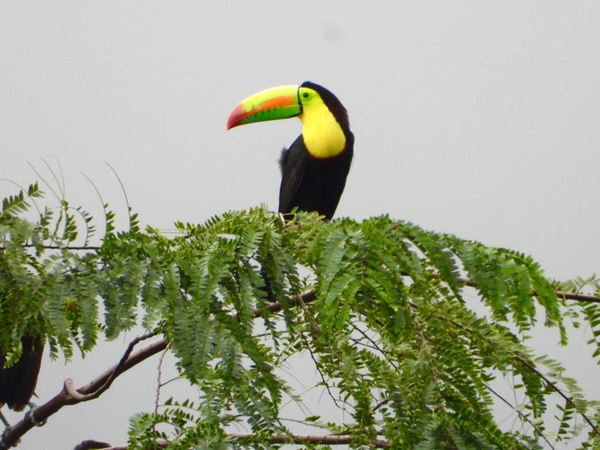 The Valley Tayrona Hostel- A Social Jungle Hostel 엘 자이노 외부 사진