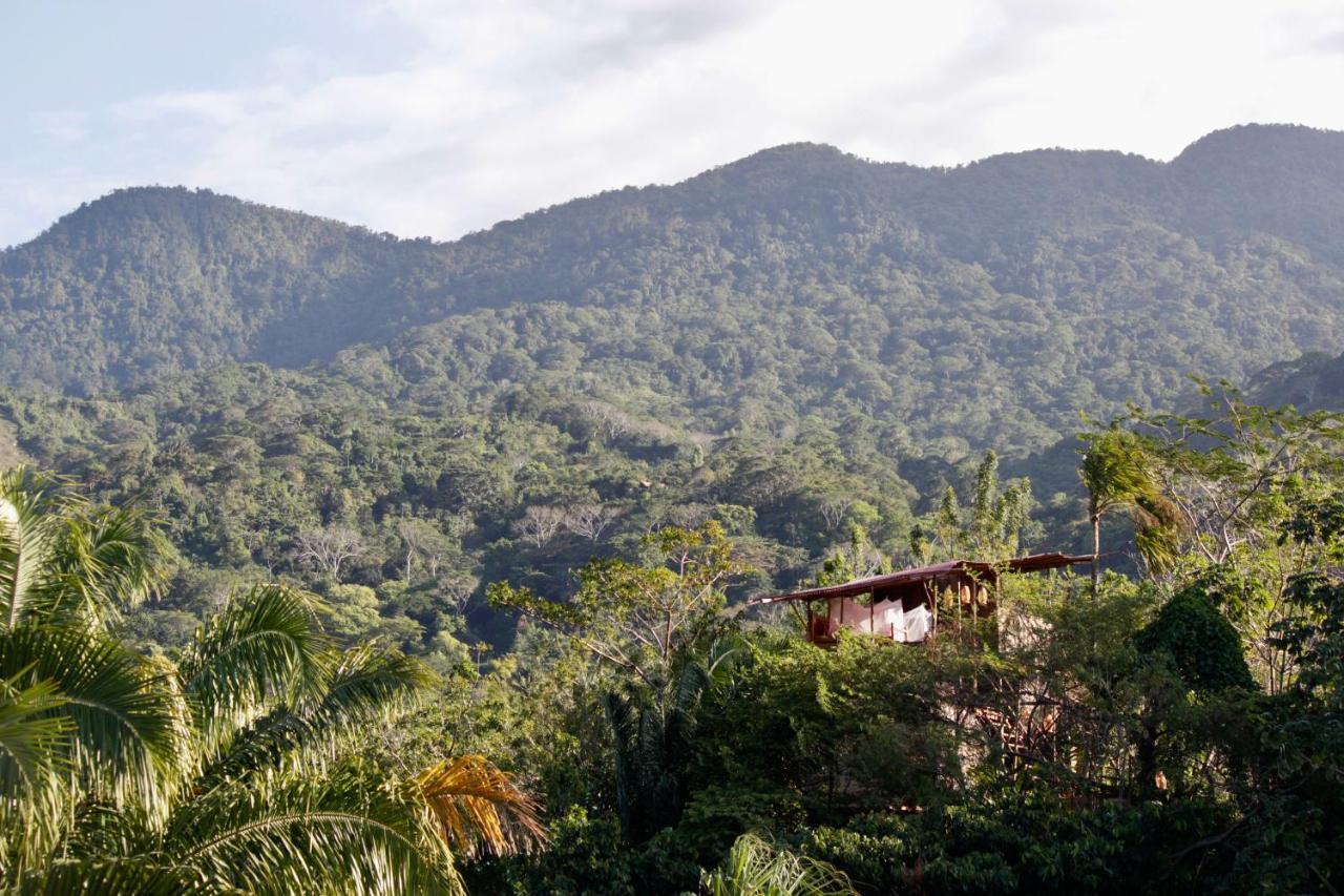 The Valley Tayrona Hostel- A Social Jungle Hostel 엘 자이노 외부 사진