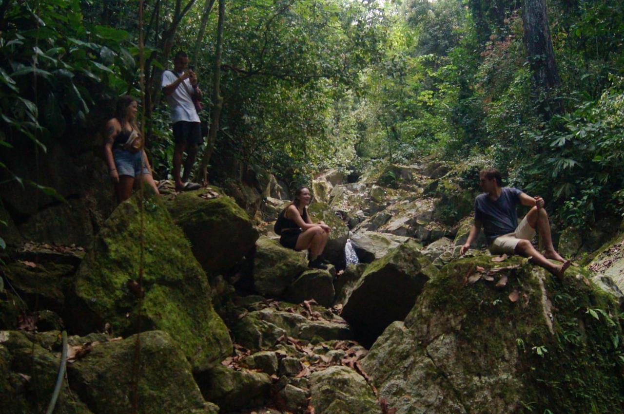 The Valley Tayrona Hostel- A Social Jungle Hostel 엘 자이노 외부 사진