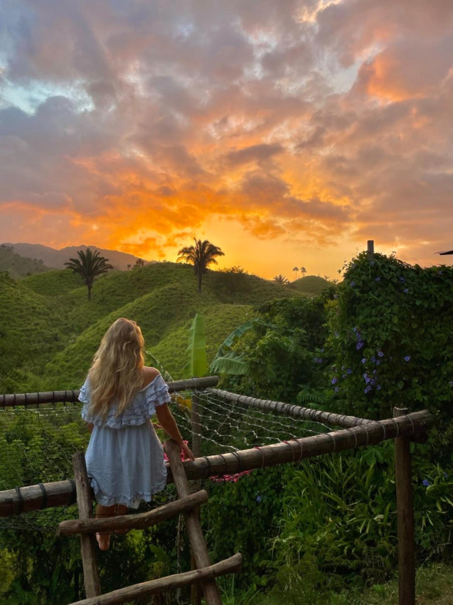 The Valley Tayrona Hostel- A Social Jungle Hostel 엘 자이노 외부 사진