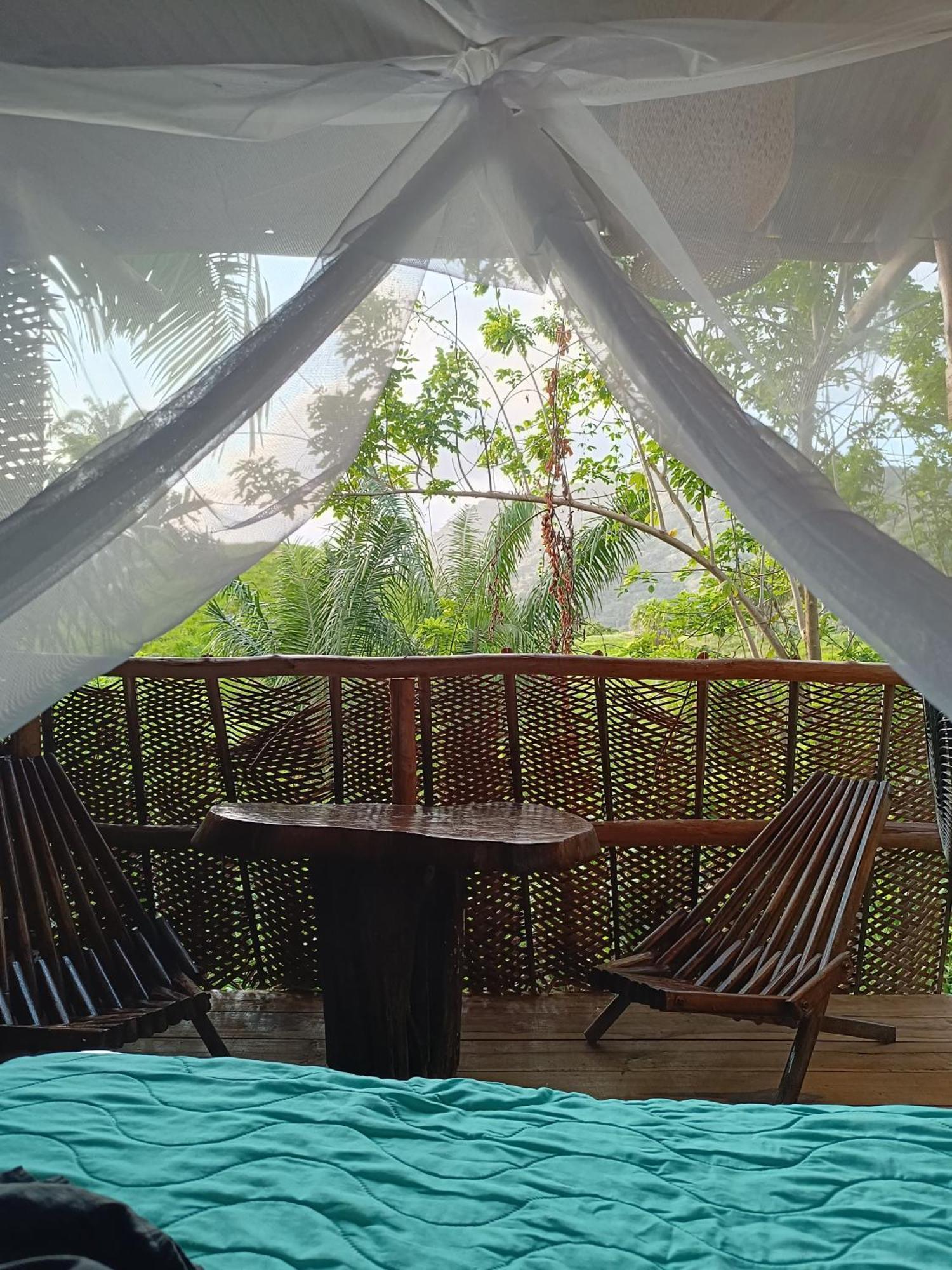 The Valley Tayrona Hostel- A Social Jungle Hostel 엘 자이노 외부 사진