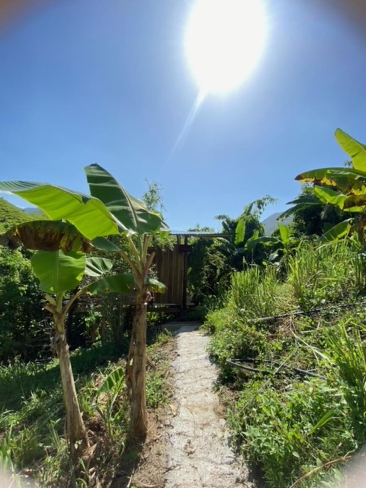The Valley Tayrona Hostel- A Social Jungle Hostel 엘 자이노 외부 사진