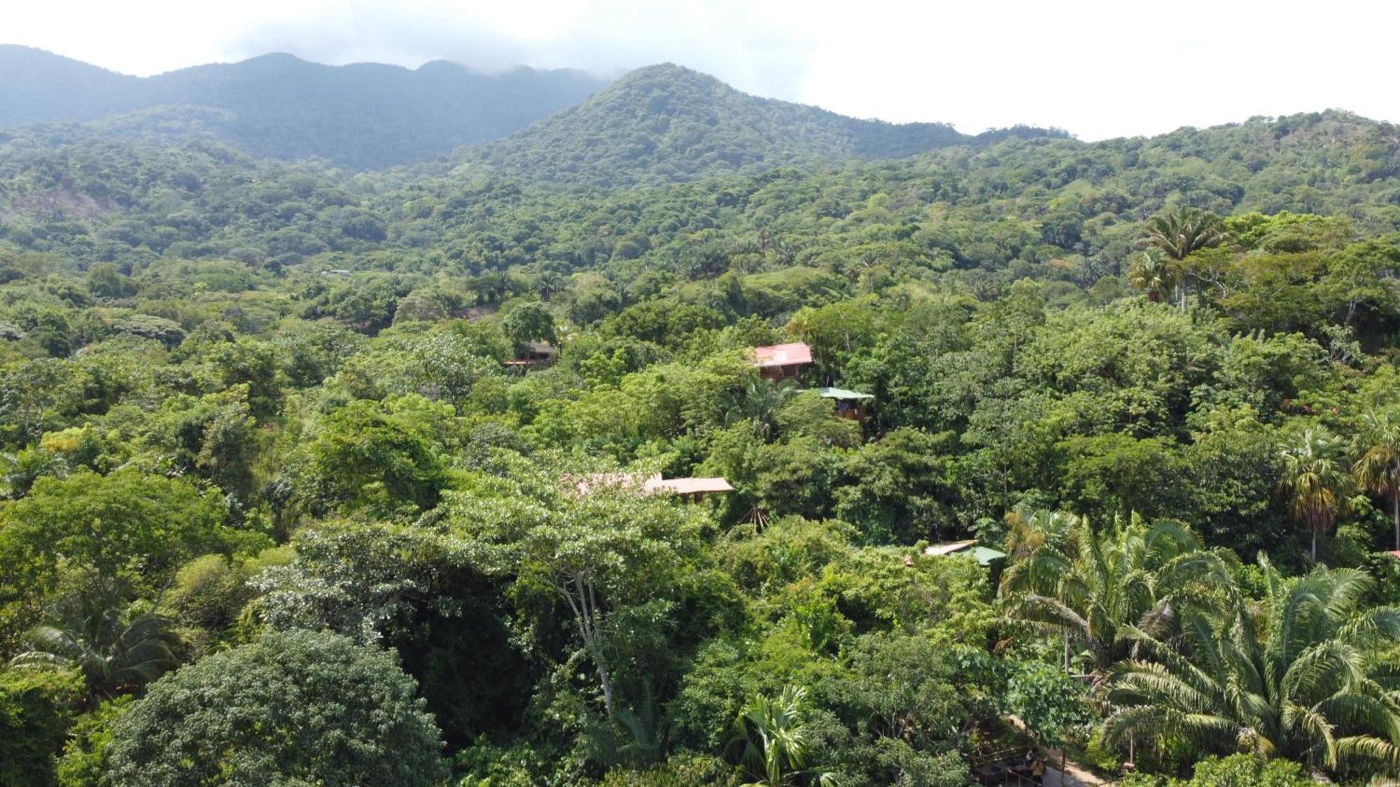 The Valley Tayrona Hostel- A Social Jungle Hostel 엘 자이노 외부 사진