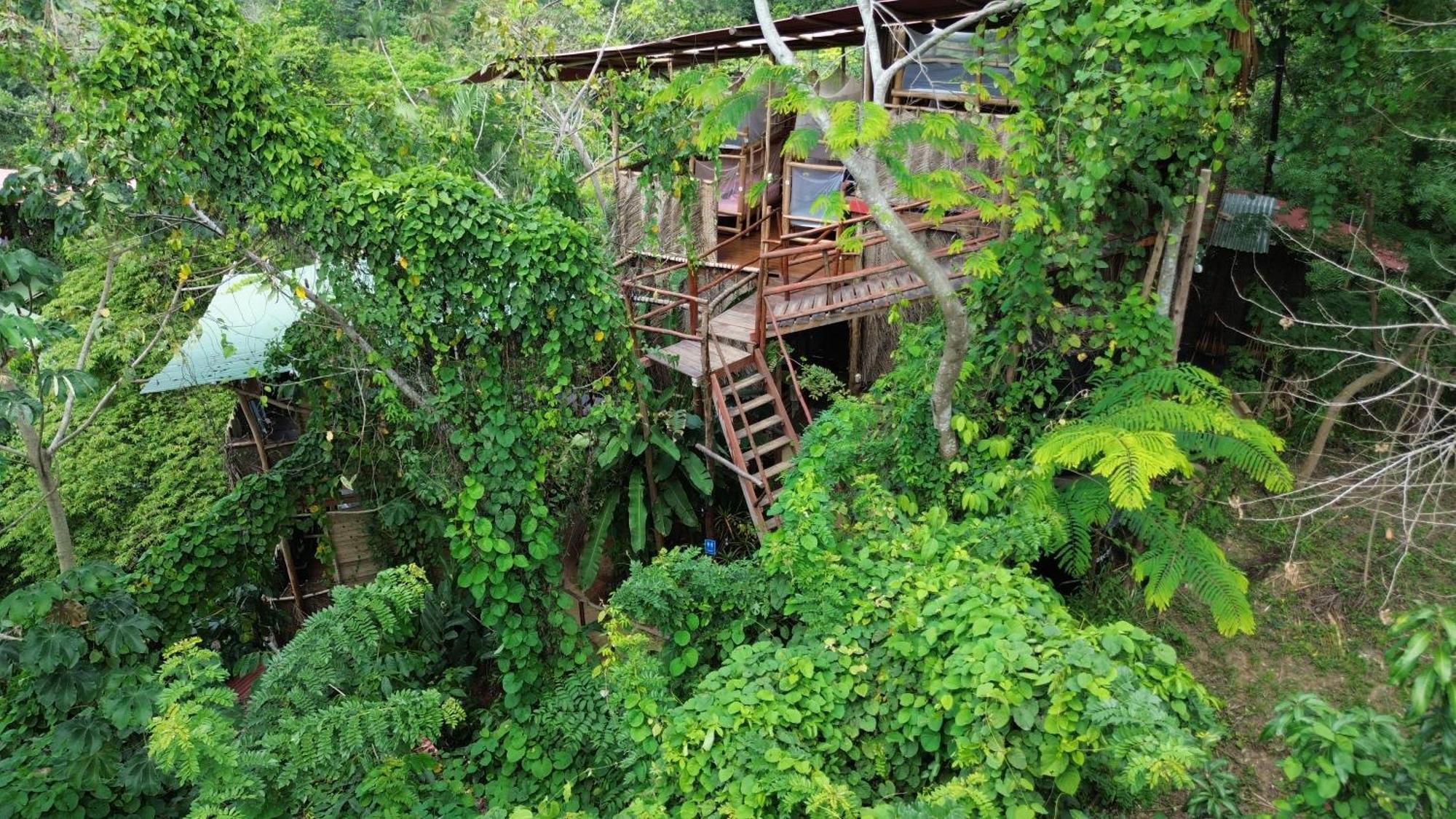 The Valley Tayrona Hostel- A Social Jungle Hostel 엘 자이노 외부 사진