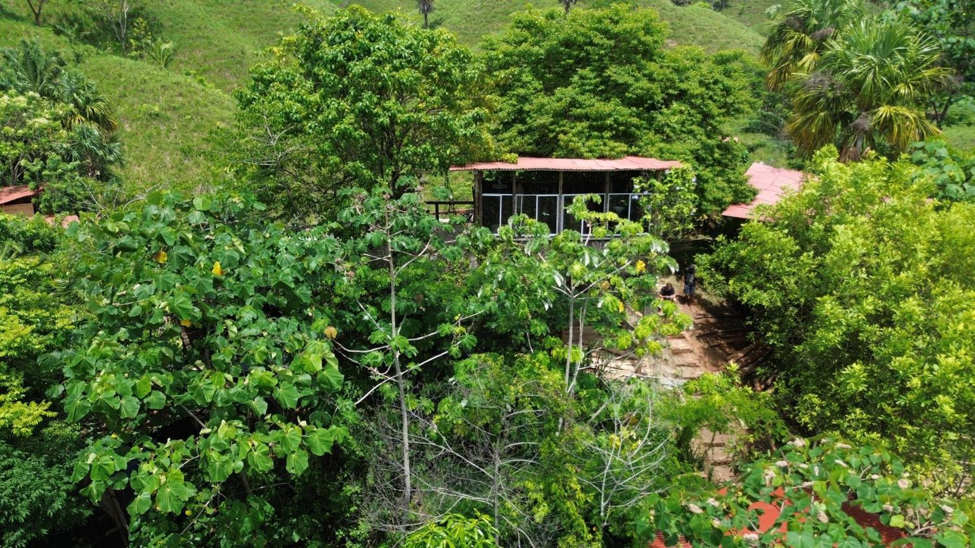 The Valley Tayrona Hostel- A Social Jungle Hostel 엘 자이노 외부 사진