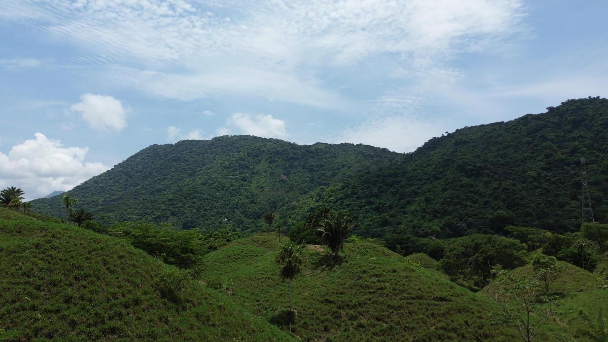 The Valley Tayrona Hostel- A Social Jungle Hostel 엘 자이노 외부 사진