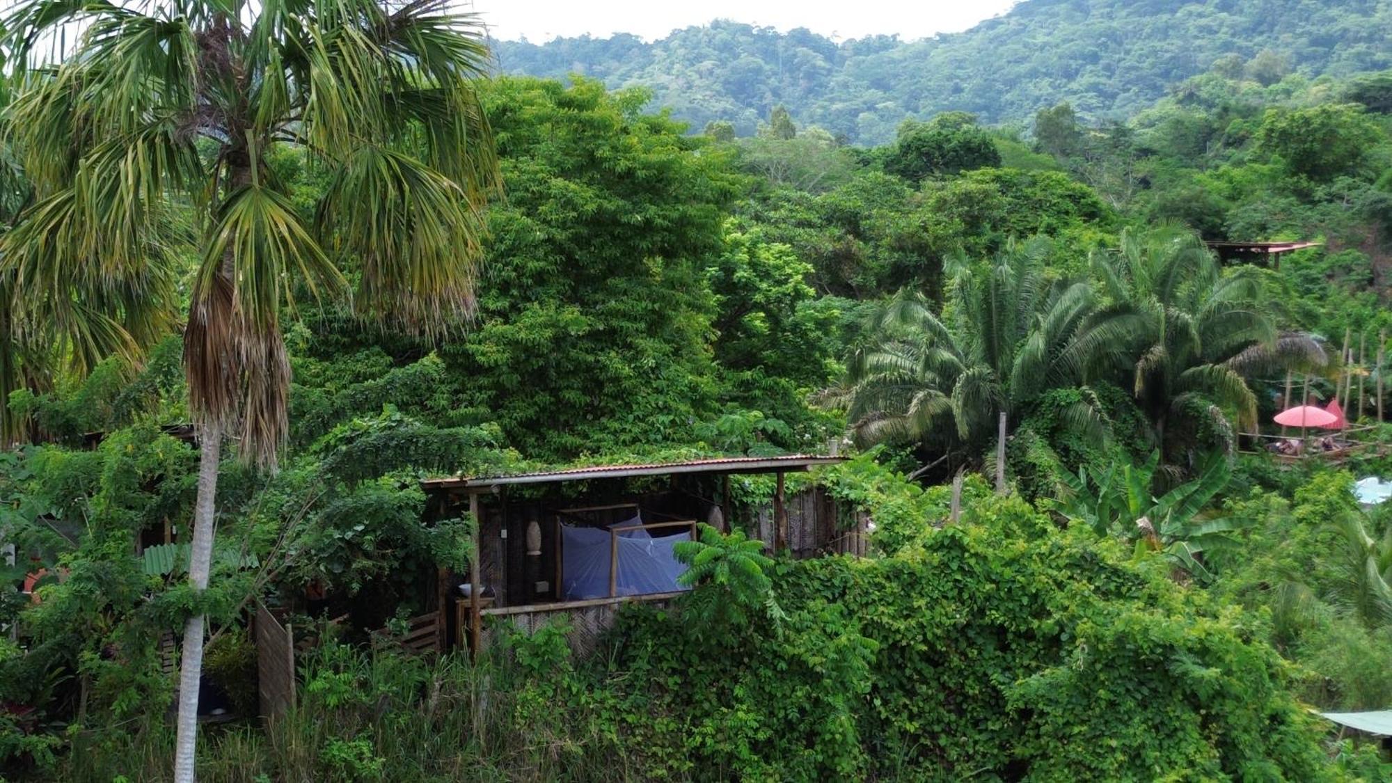 The Valley Tayrona Hostel- A Social Jungle Hostel 엘 자이노 외부 사진