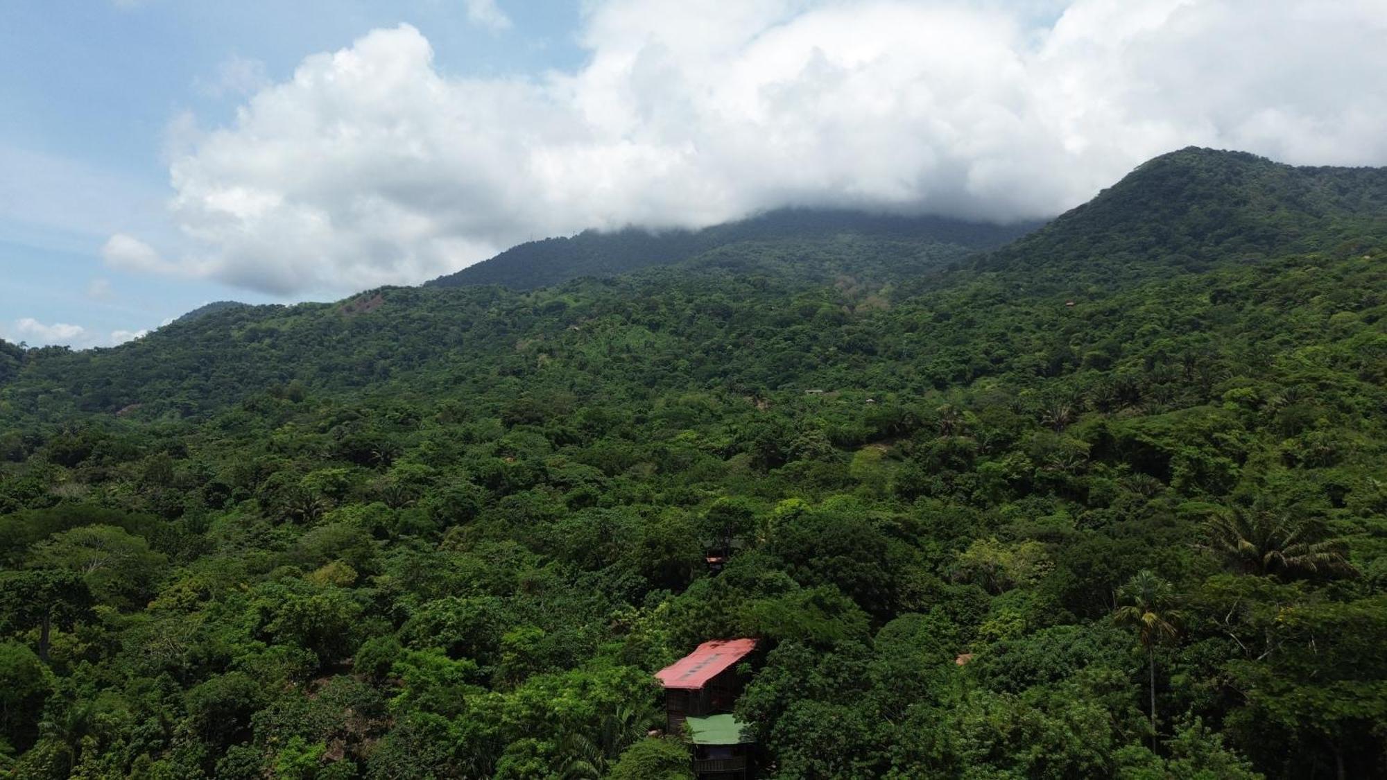 The Valley Tayrona Hostel- A Social Jungle Hostel 엘 자이노 외부 사진