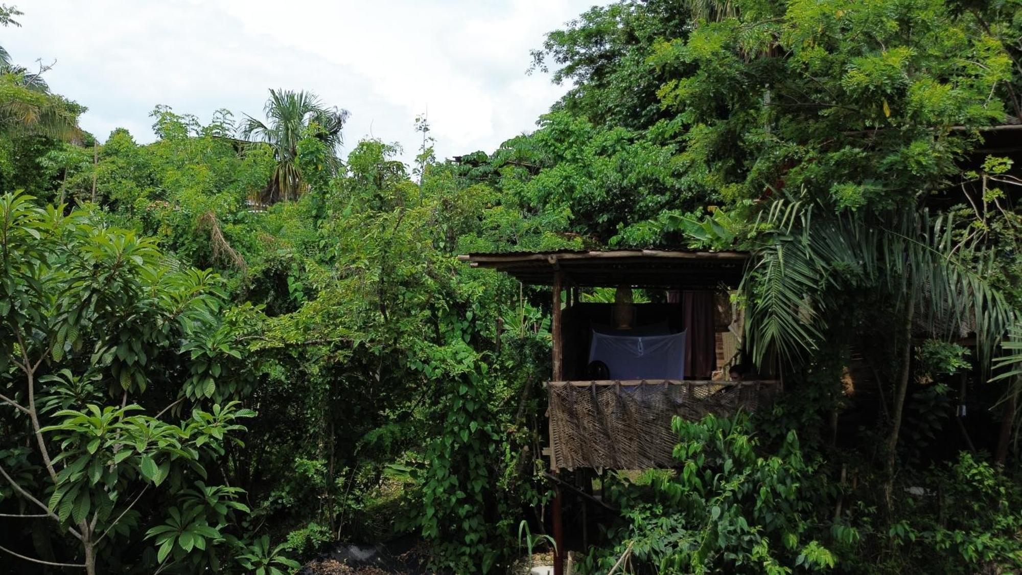 The Valley Tayrona Hostel- A Social Jungle Hostel 엘 자이노 외부 사진