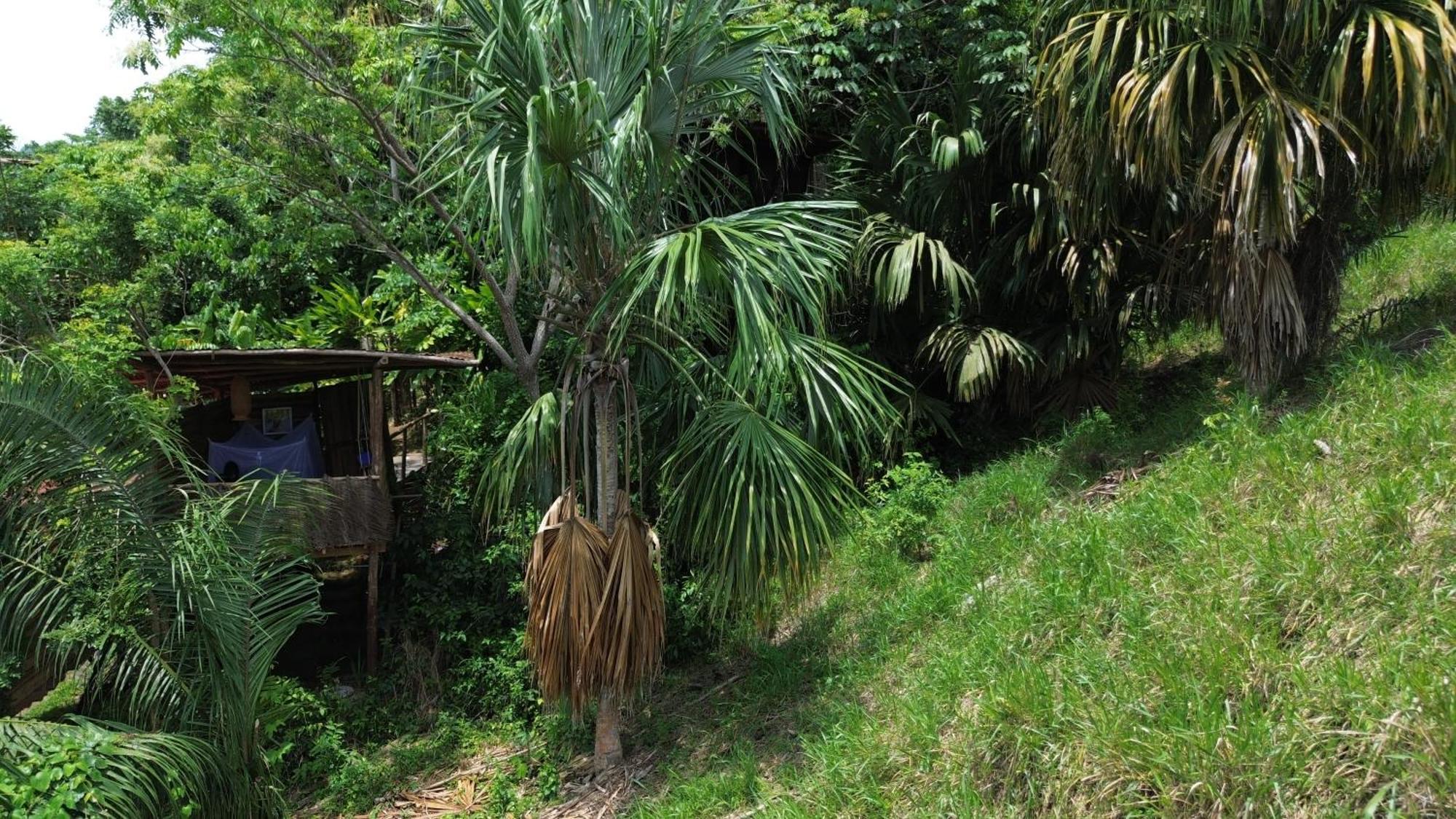 The Valley Tayrona Hostel- A Social Jungle Hostel 엘 자이노 외부 사진