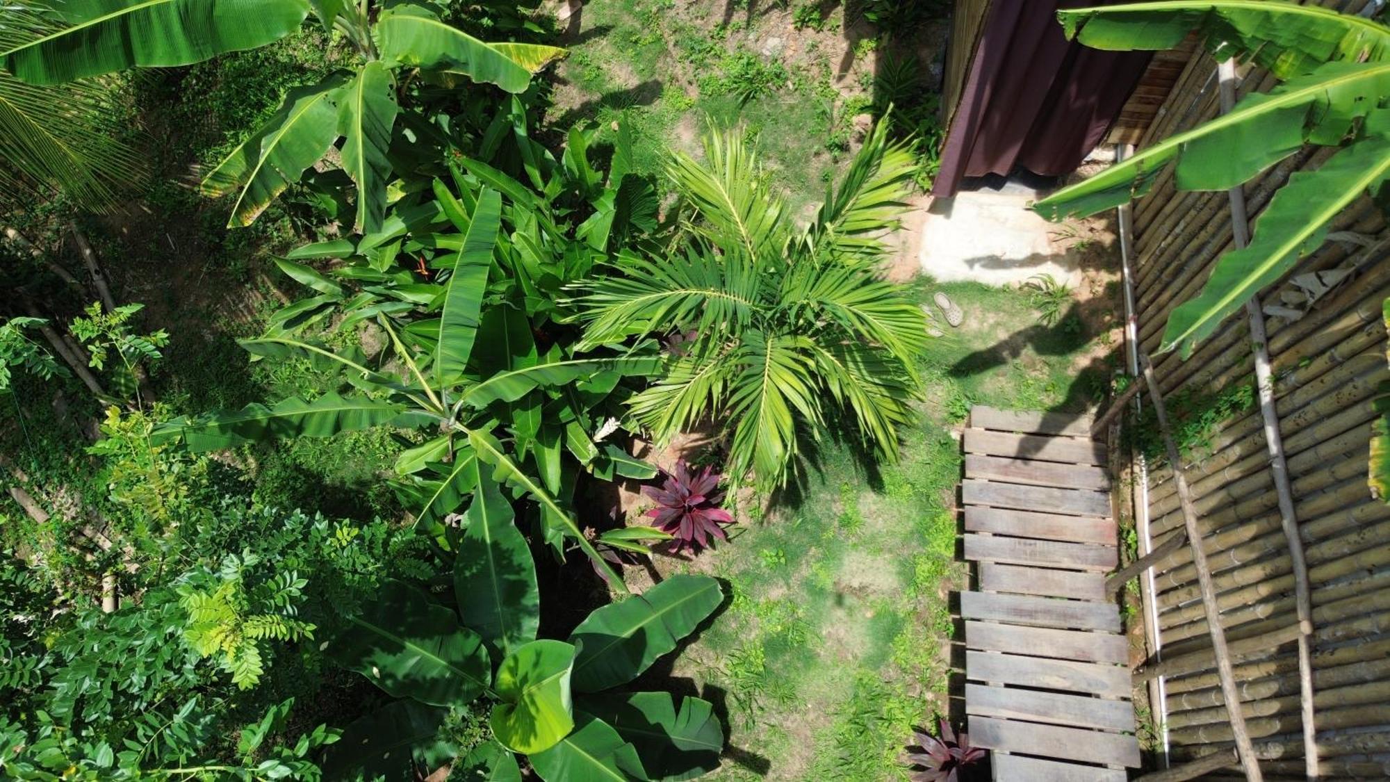 The Valley Tayrona Hostel- A Social Jungle Hostel 엘 자이노 외부 사진