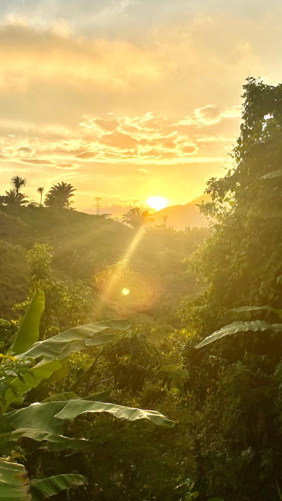The Valley Tayrona Hostel- A Social Jungle Hostel 엘 자이노 외부 사진