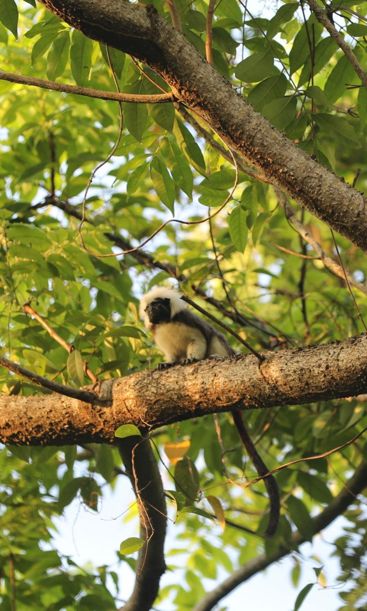 The Valley Tayrona Hostel- A Social Jungle Hostel 엘 자이노 외부 사진