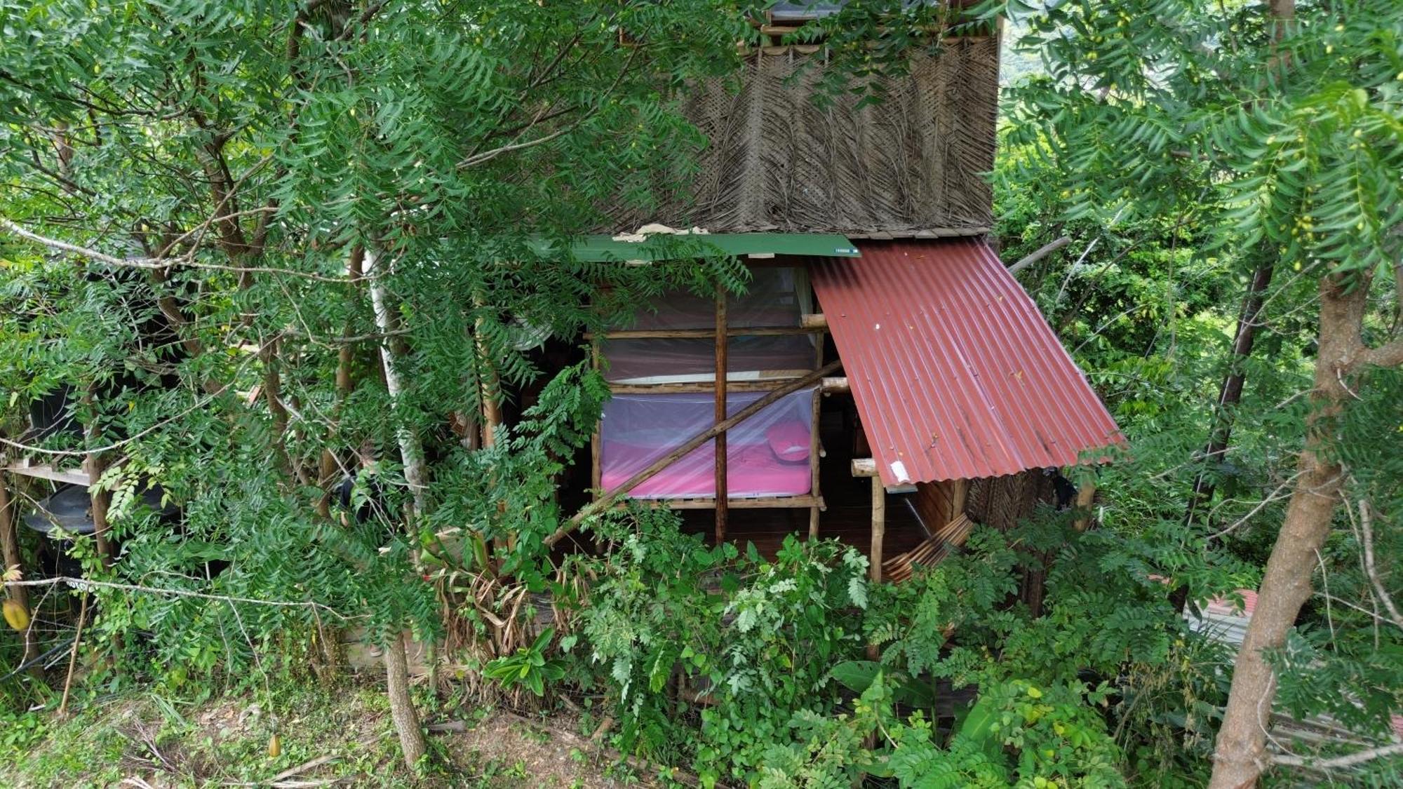 The Valley Tayrona Hostel- A Social Jungle Hostel 엘 자이노 외부 사진