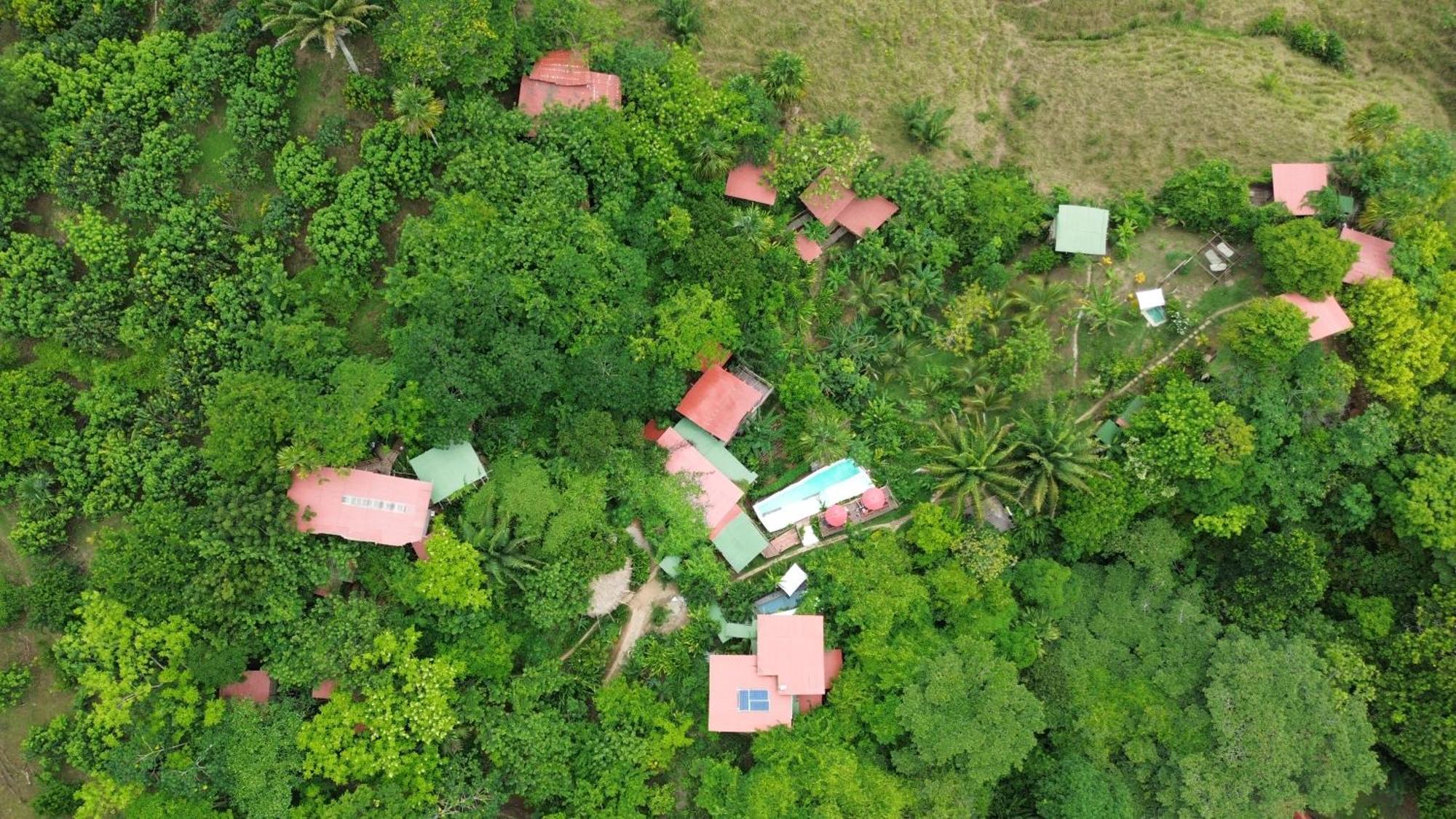 The Valley Tayrona Hostel- A Social Jungle Hostel 엘 자이노 외부 사진