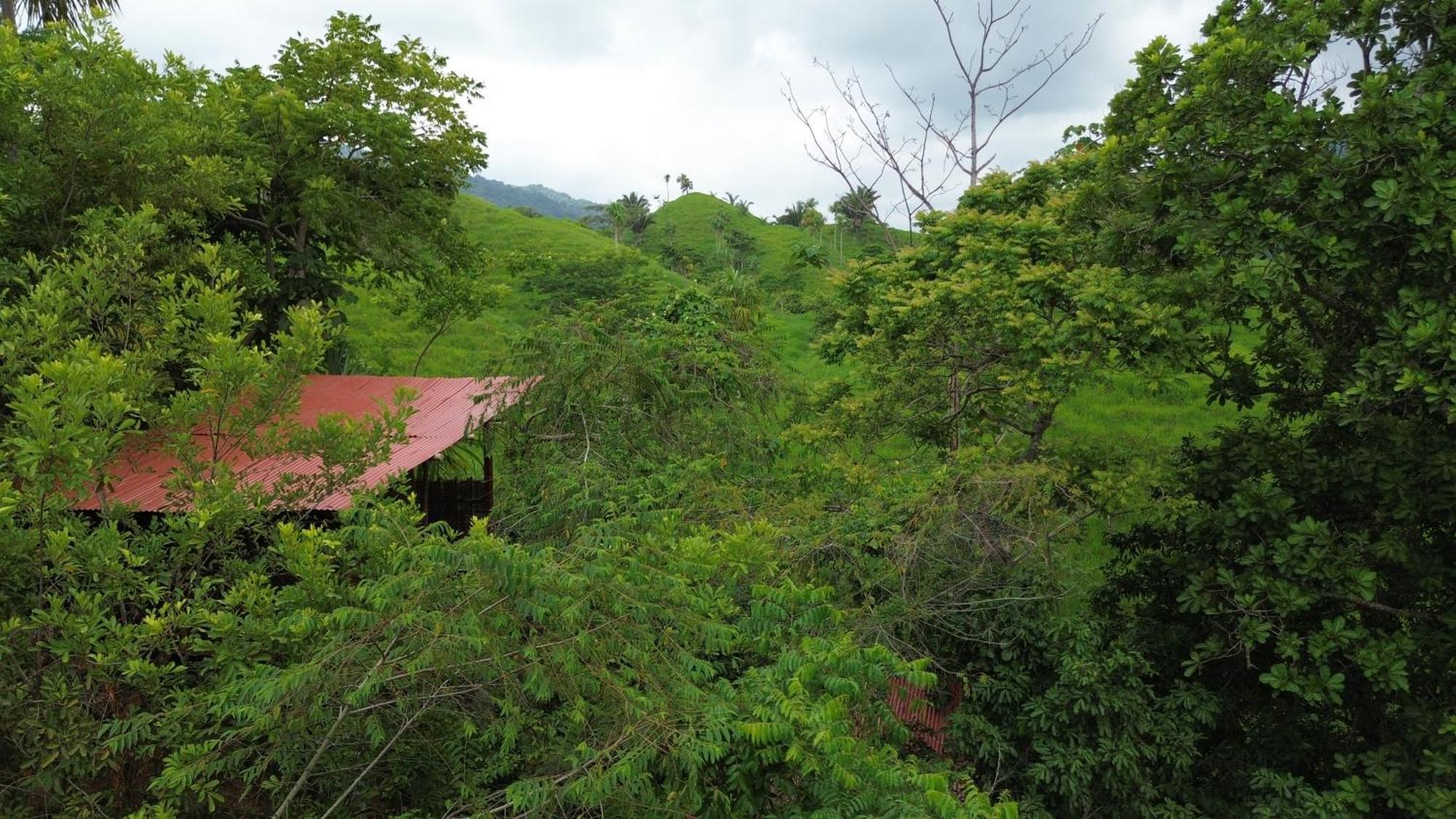 The Valley Tayrona Hostel- A Social Jungle Hostel 엘 자이노 외부 사진