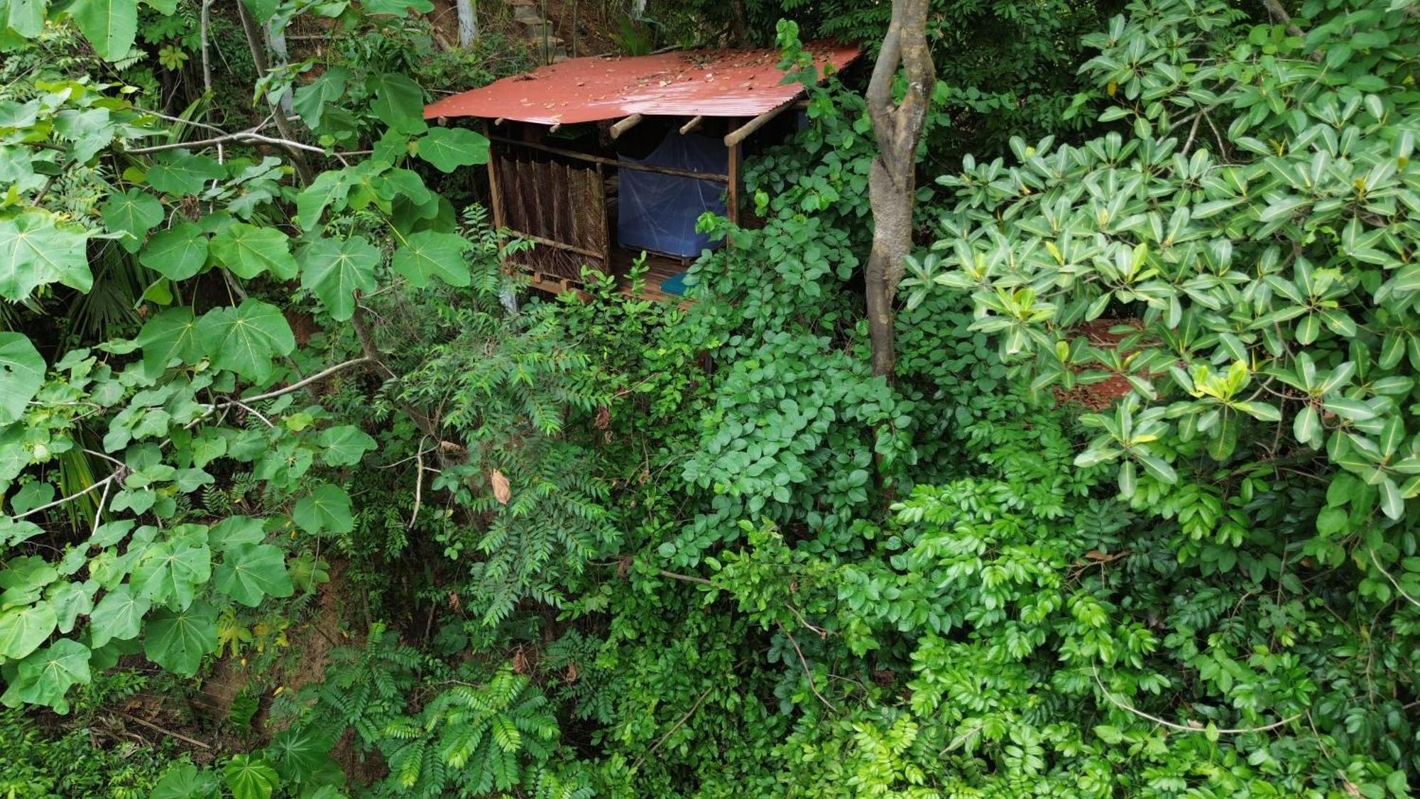 The Valley Tayrona Hostel- A Social Jungle Hostel 엘 자이노 외부 사진