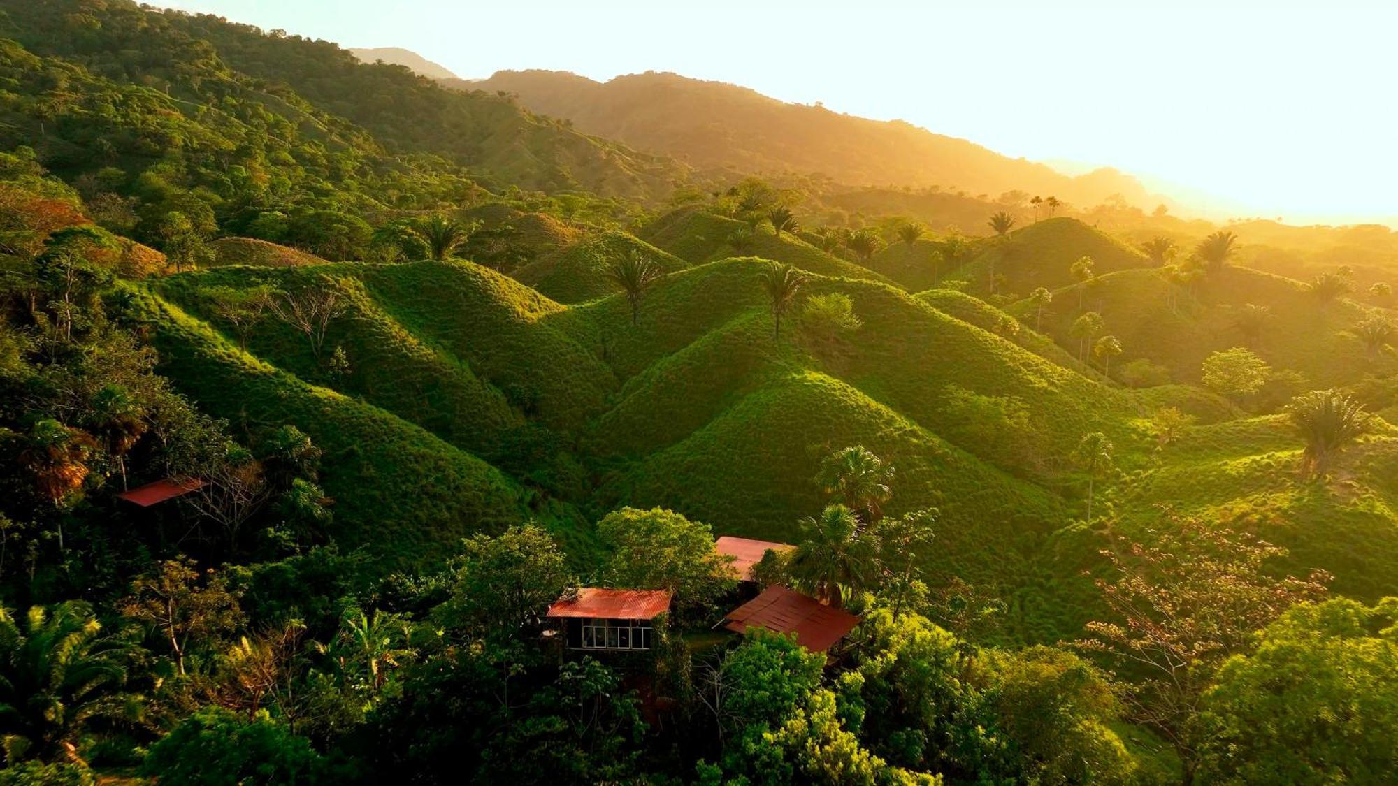 The Valley Tayrona Hostel- A Social Jungle Hostel 엘 자이노 외부 사진