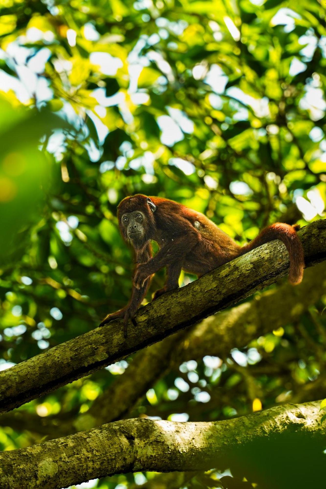 The Valley Tayrona Hostel- A Social Jungle Hostel 엘 자이노 외부 사진